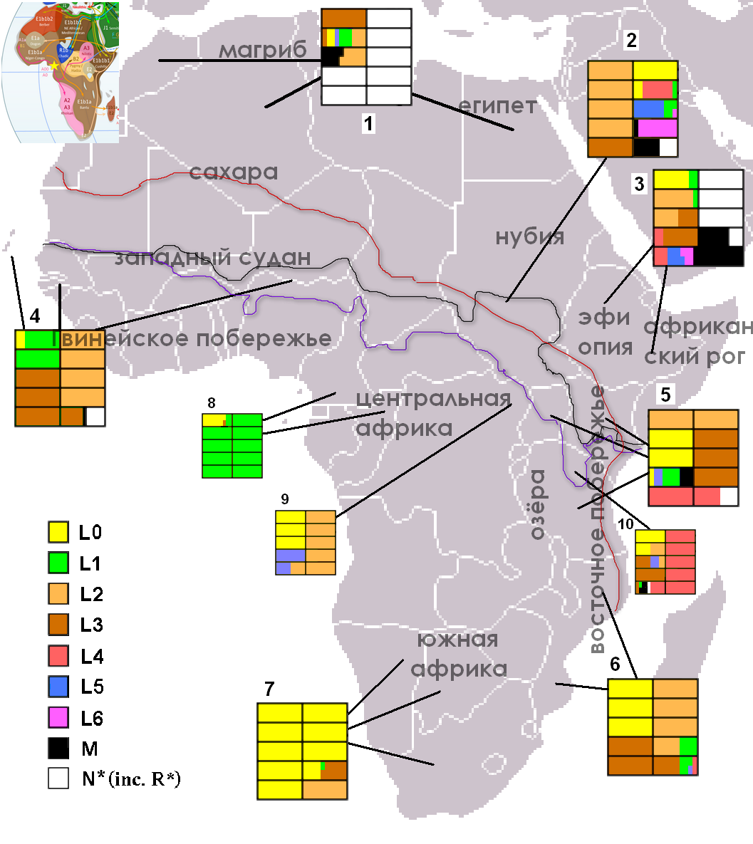 Копия Macrohaplogrupo_L_en_africa.png