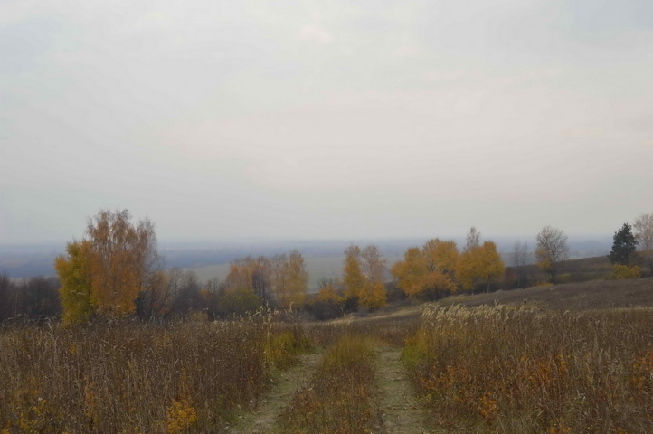Холмы.jpg