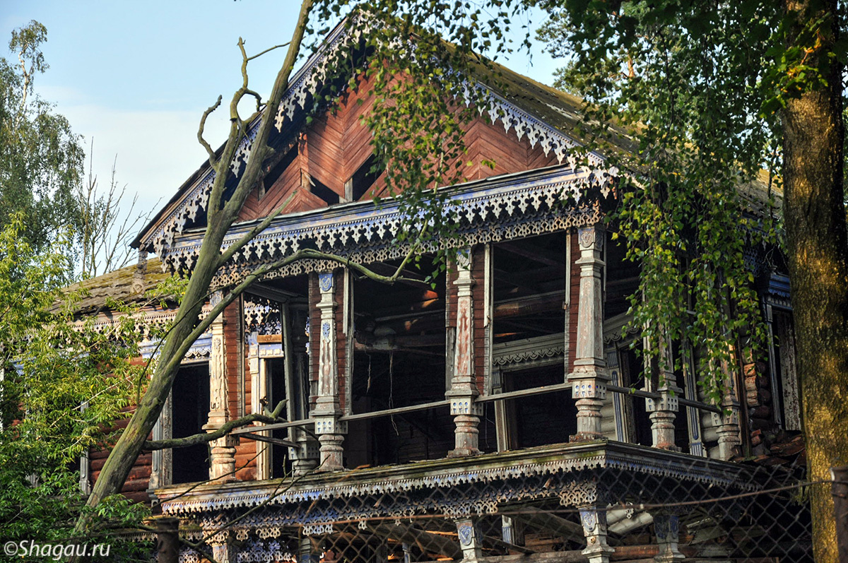 бергов в старник.jpg
