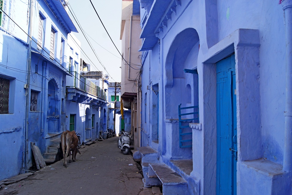 бунди01DSC05488.jpg