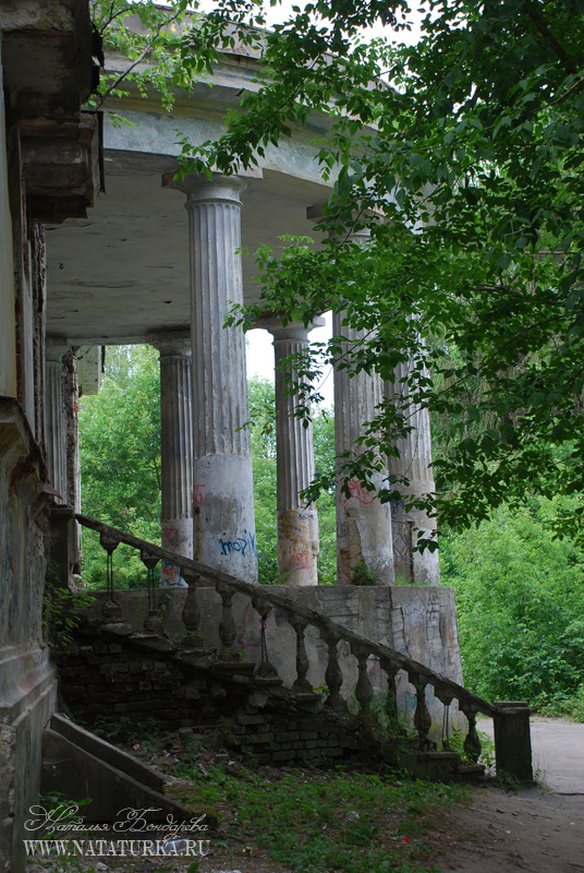 кинешма дача севрюговаdsc_0040_sevrugov.jpg