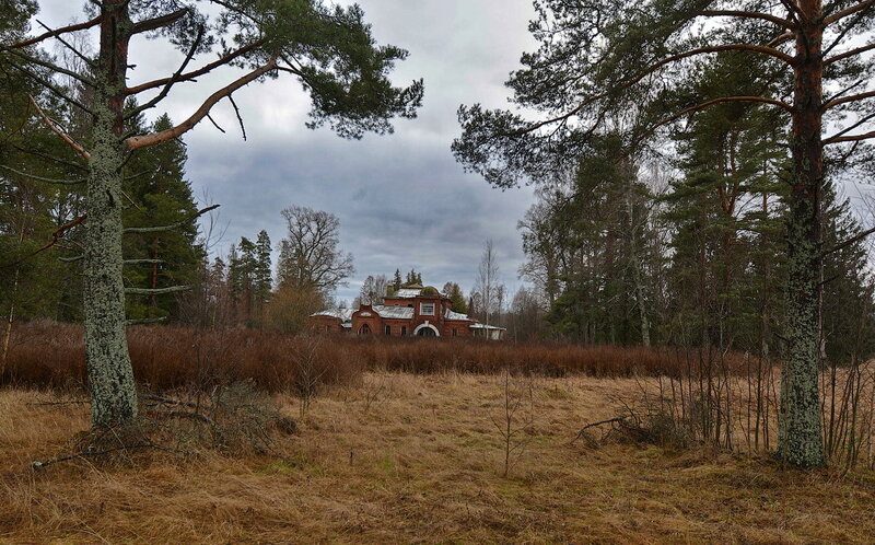 матрёнDSC_4749.jpg