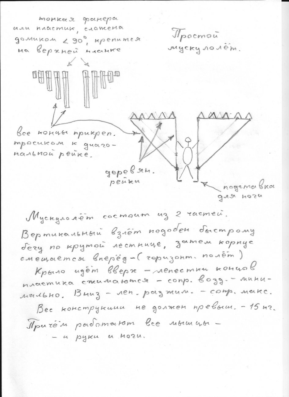 мускулолёт.jpeg