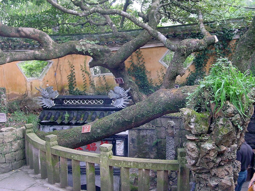 普陀山.仙人井_-_panoramio_(1).jpg