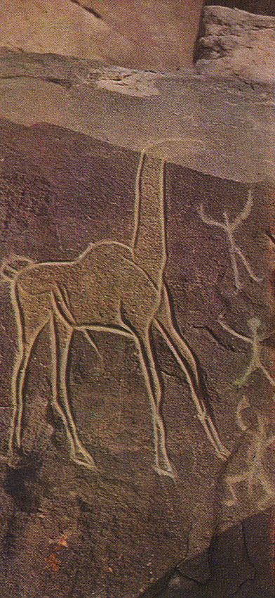 000594.jpg