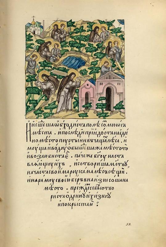 001-0121_stef_ushedshij_posle_postriga_s_varf_iskodili_mnogo_lesov.jpg