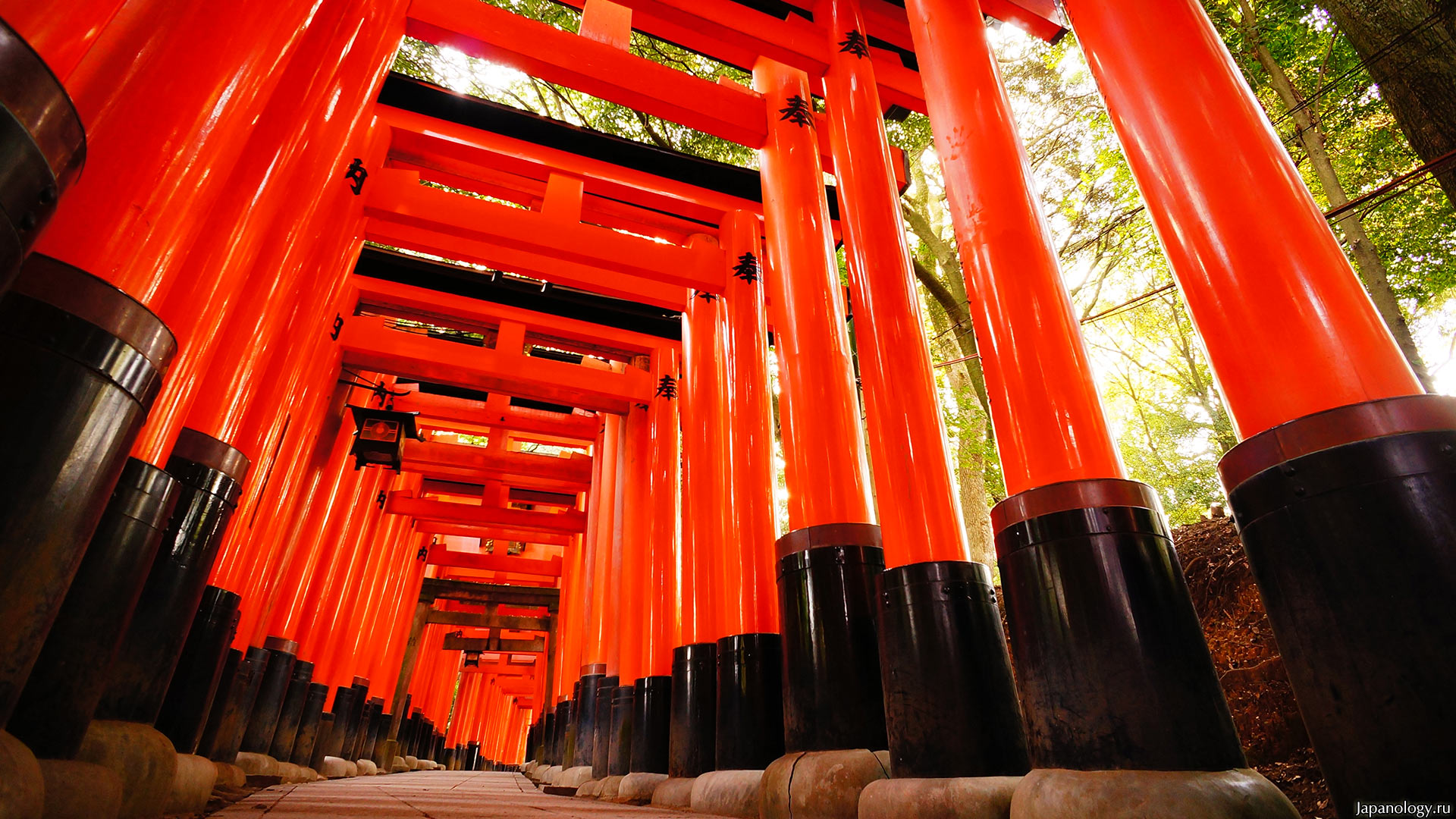 040614_fushimiinari_senbon.jpg