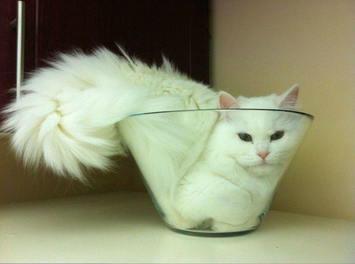 0_1912ad_54d4c7ca_orig.jpg