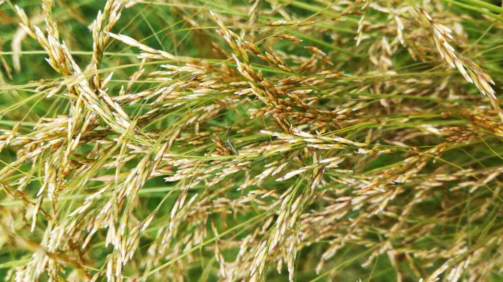10-1024x575.jpg