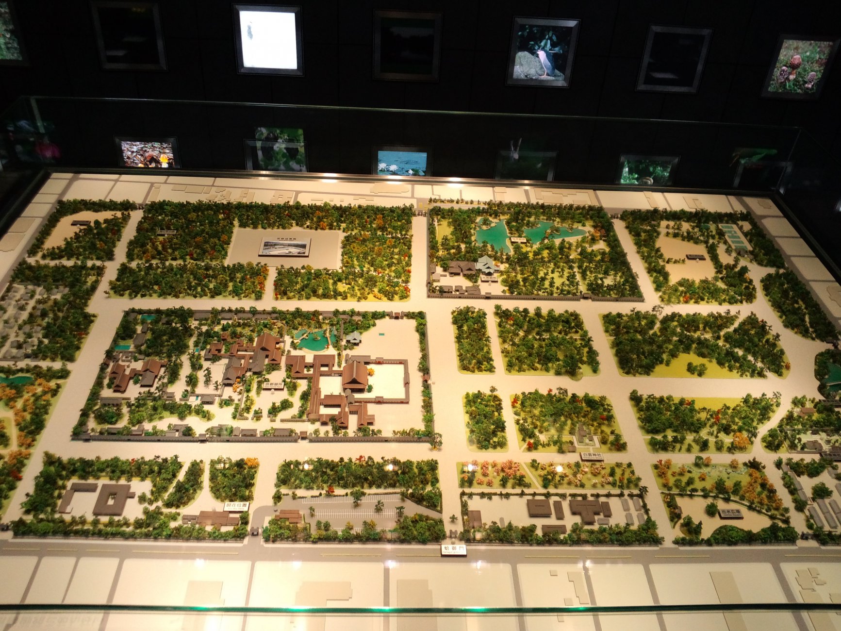 101030kyoto008.jpg