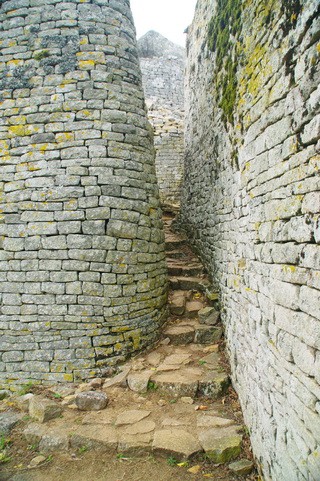 11541_зимб.jpg