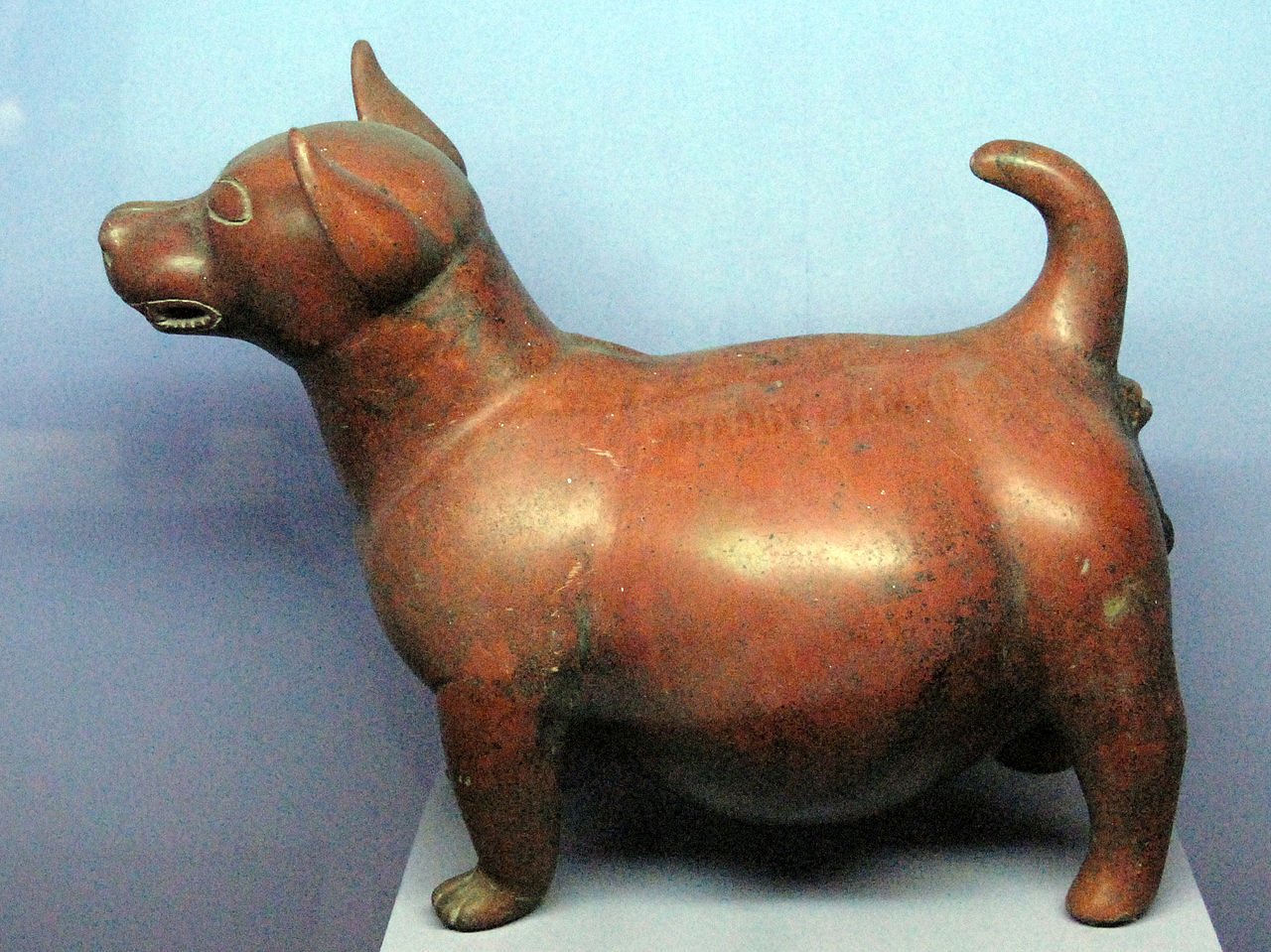 1280px-Colima_shaft_tomb_dog_(T_Aleto).jpg