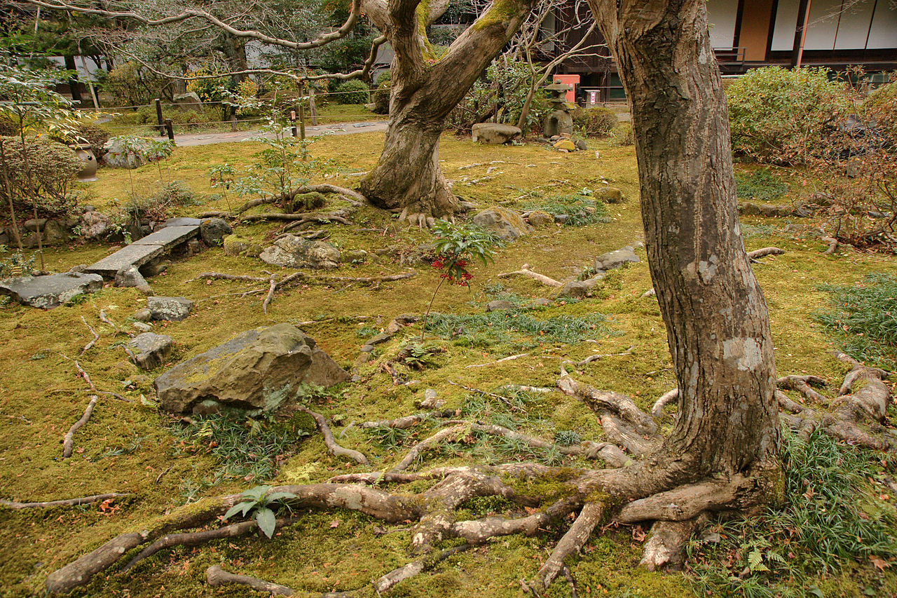 1280px-Kyoto_Shorenin07n4272.jpg