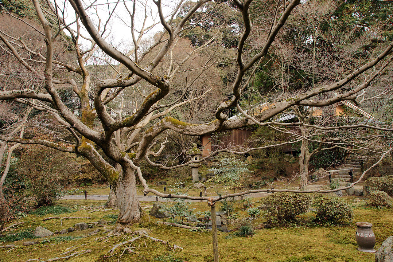 1280px-Kyoto_Shorenin08n4272.jpg
