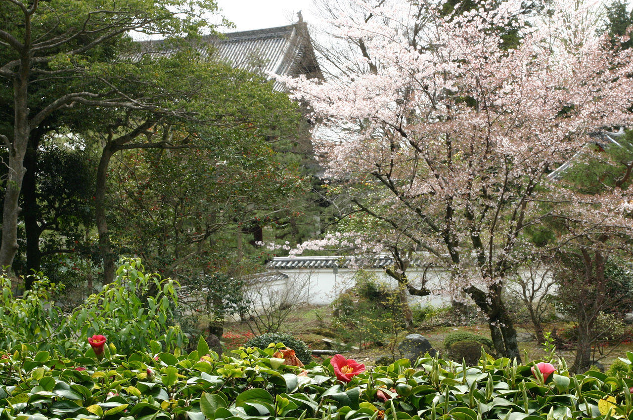 1280px-Manpuku_temple_cherry.jpg