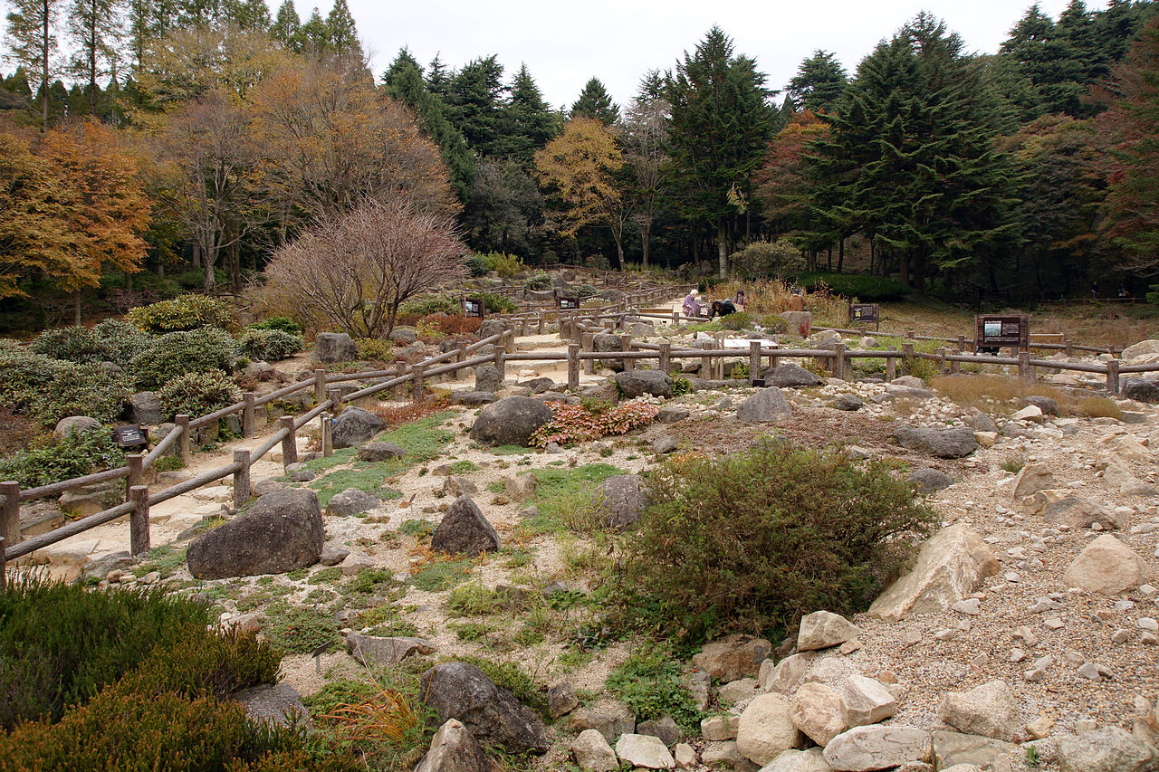 1280px-Rokko_alpine_botanical_garden19n4272.jpg