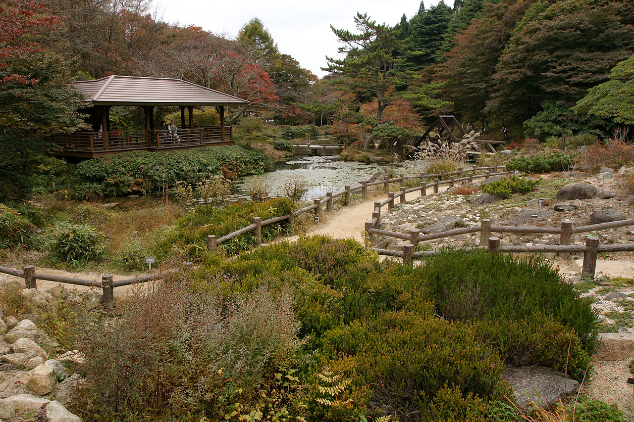 1280px-Rokko_alpine_botanical_garden20n4272.jpg