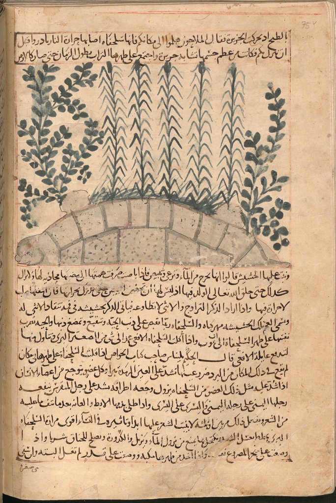 157.jpg