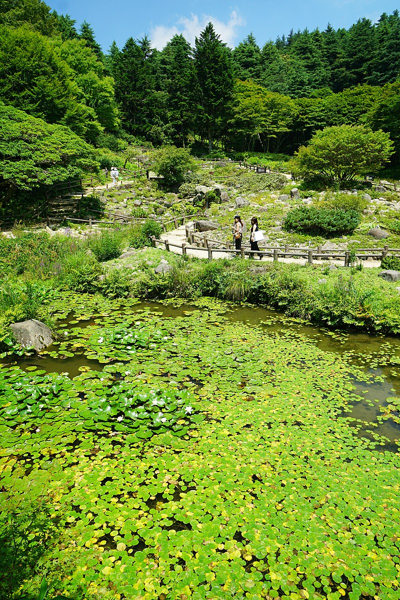 170811_Rokko_Alpine_Botanical_Garden_Kobe_Japan13n.jpg