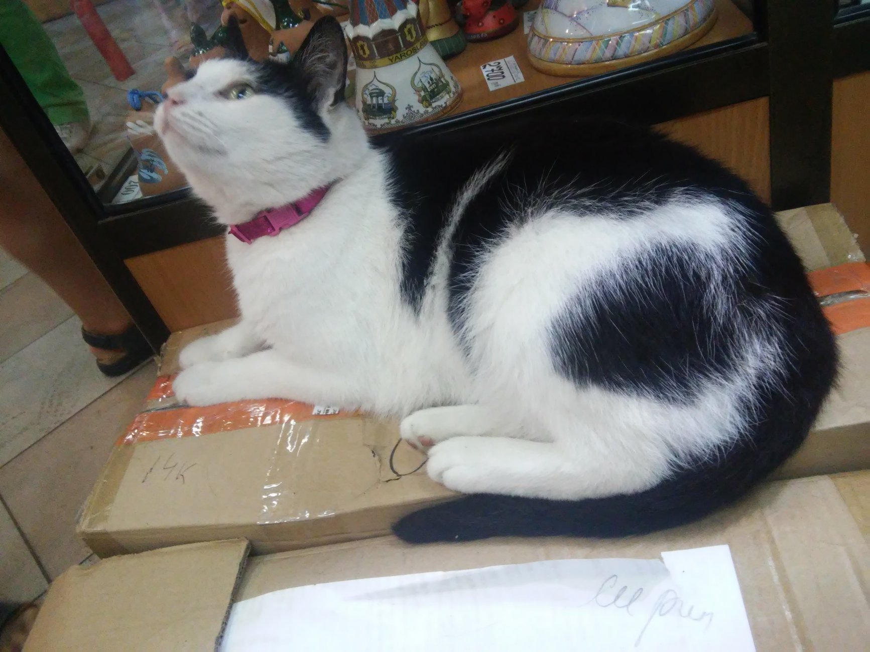 20160820_175320.jpg