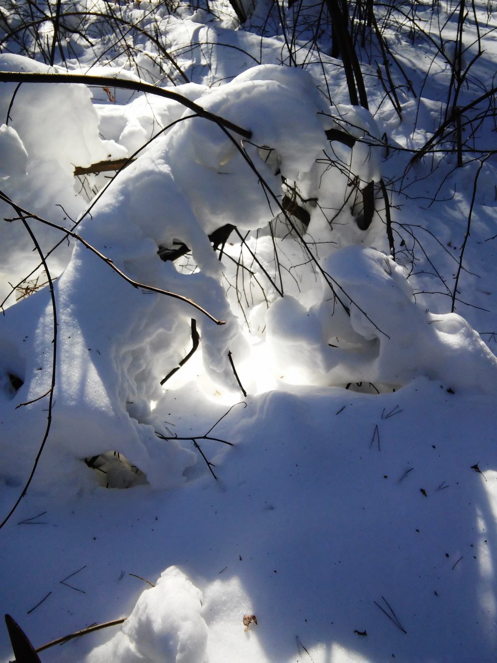 20180309_140753.jpg