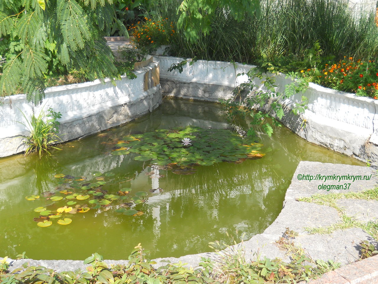 2662_malyye_prudy_u_pyatogo_korpusa_v_kharakskom_parke.jpg
