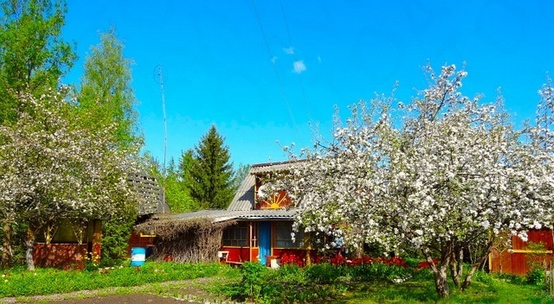 351.Садоводство Мшинское.jpg
