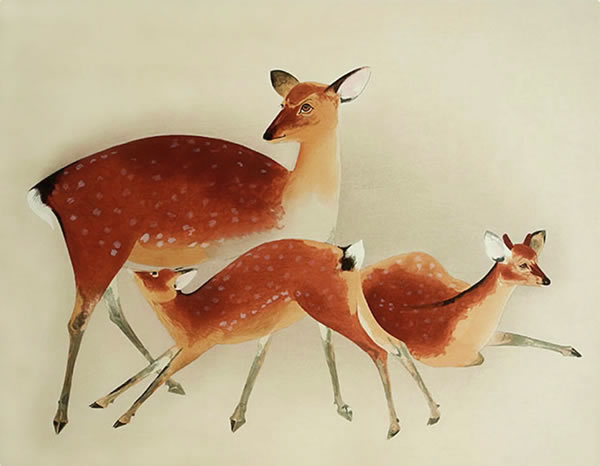 4006-deer.jpg