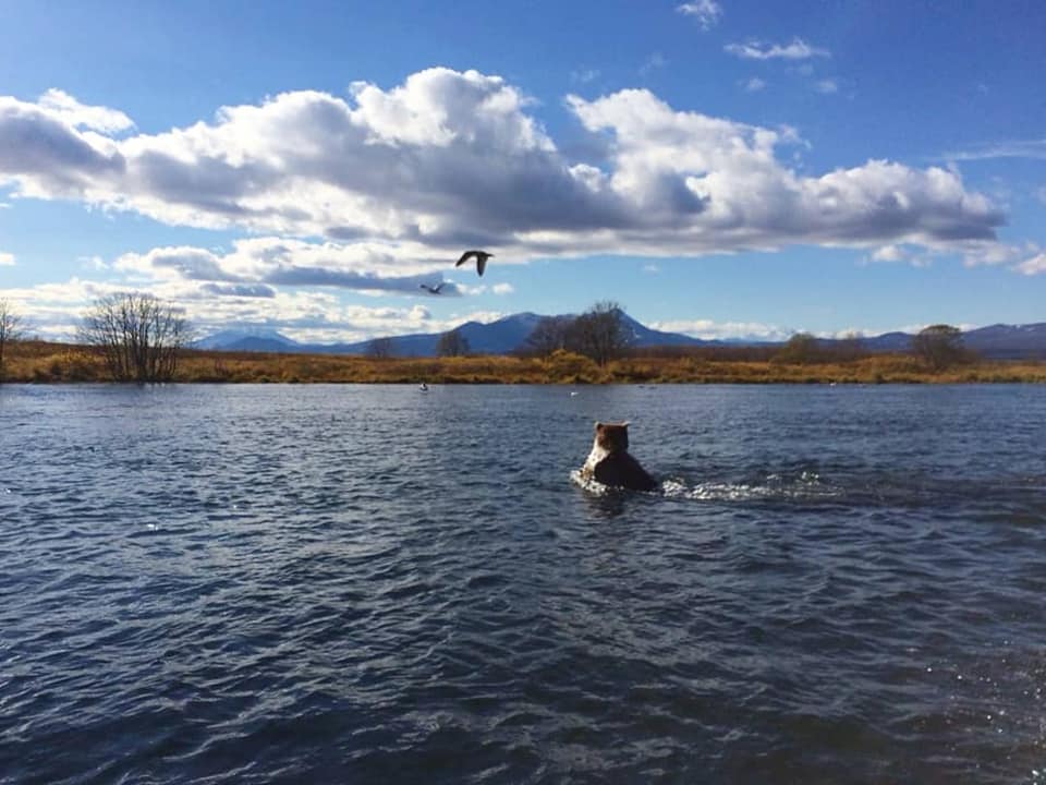 44102196_902566093282498_3830748148108623872_n.jpg