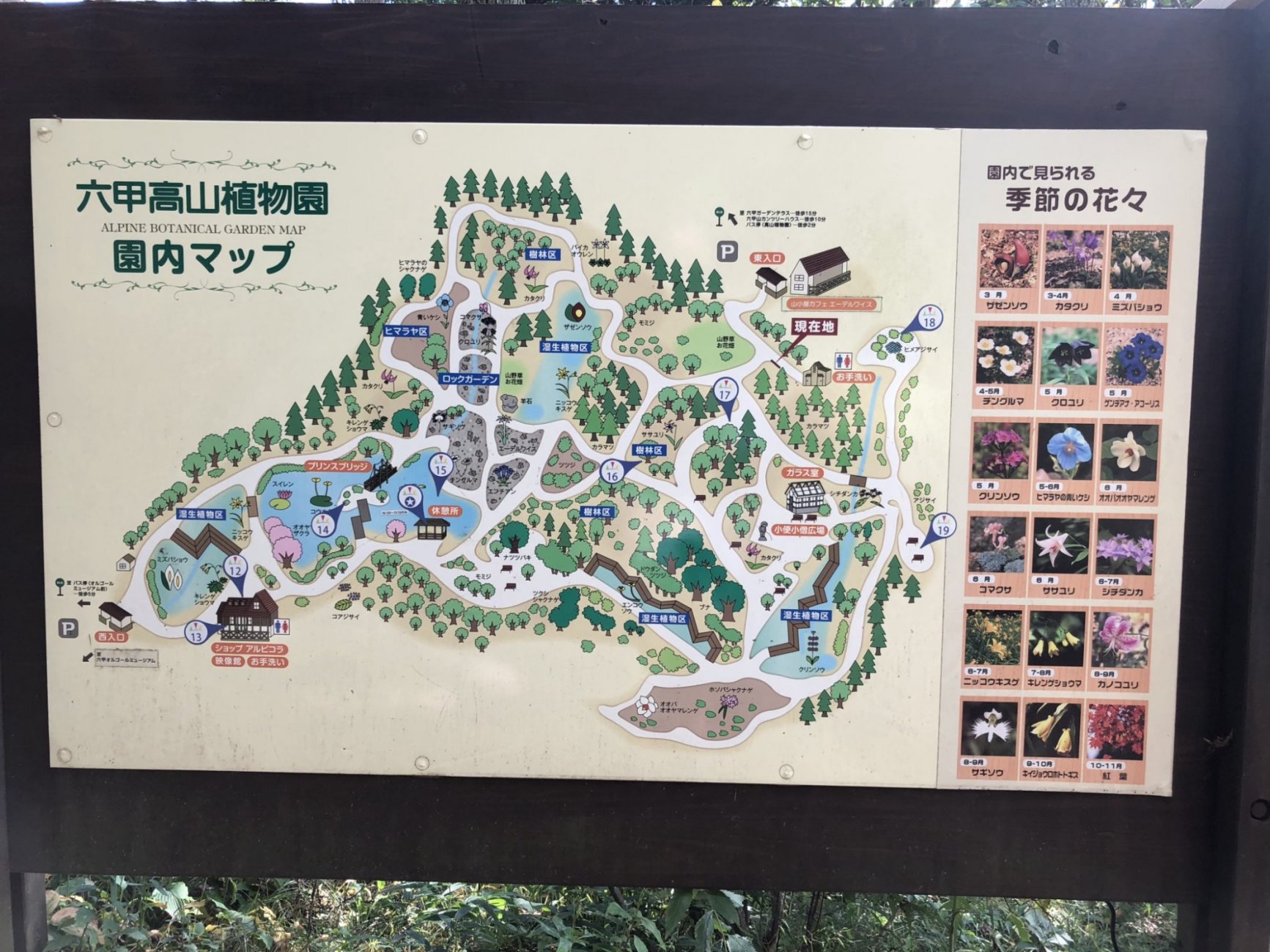 4994_414a878591dc82c5.jpg
