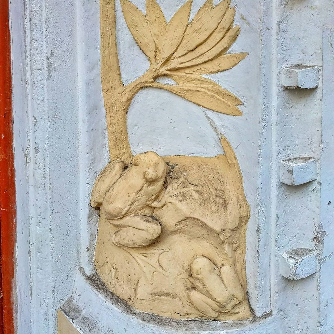 5 хлахол93380069_226360335131481_6907828840448840646_n.jpg