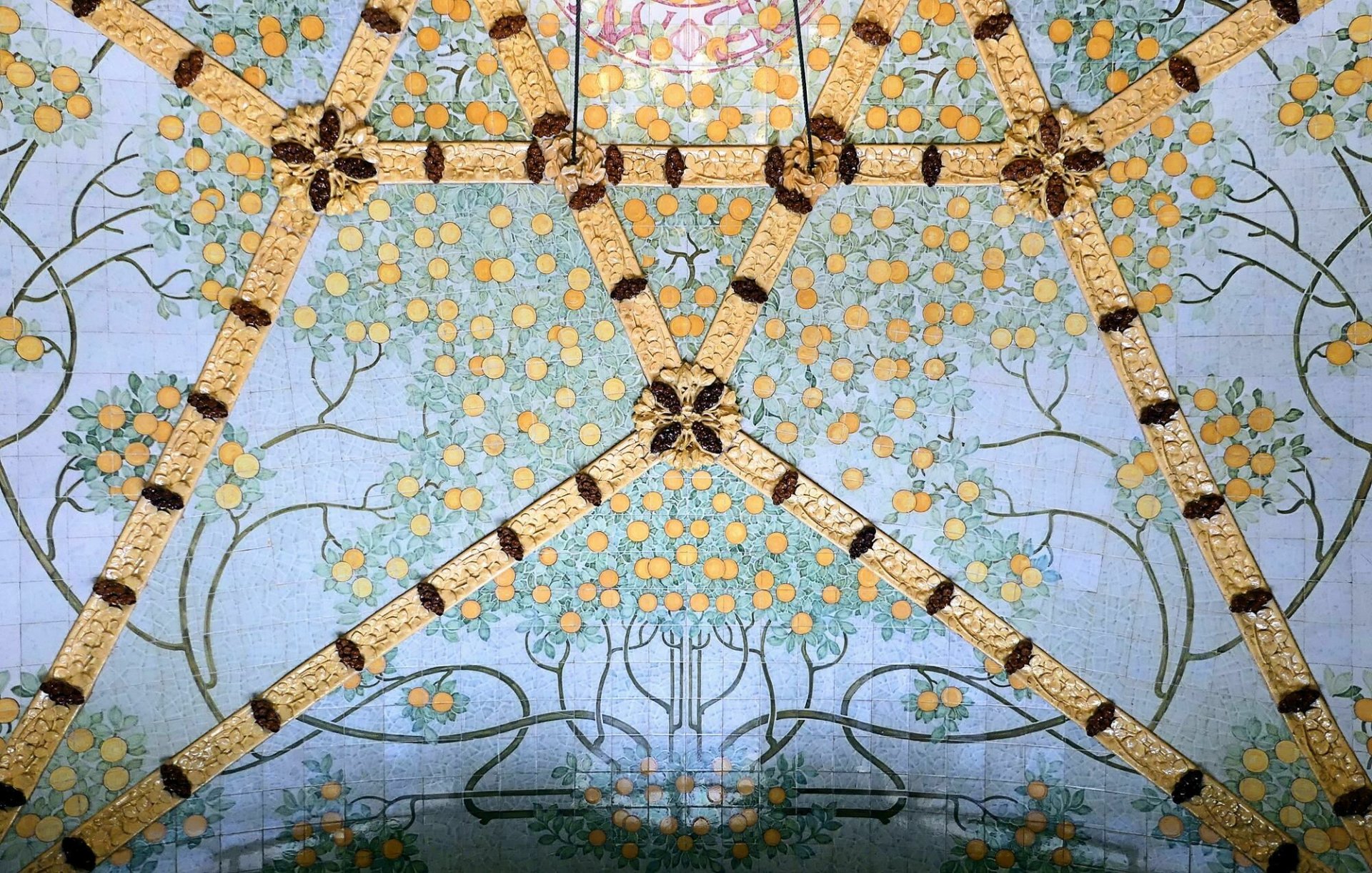 52471662461_c938e6ccf7_o.jpg