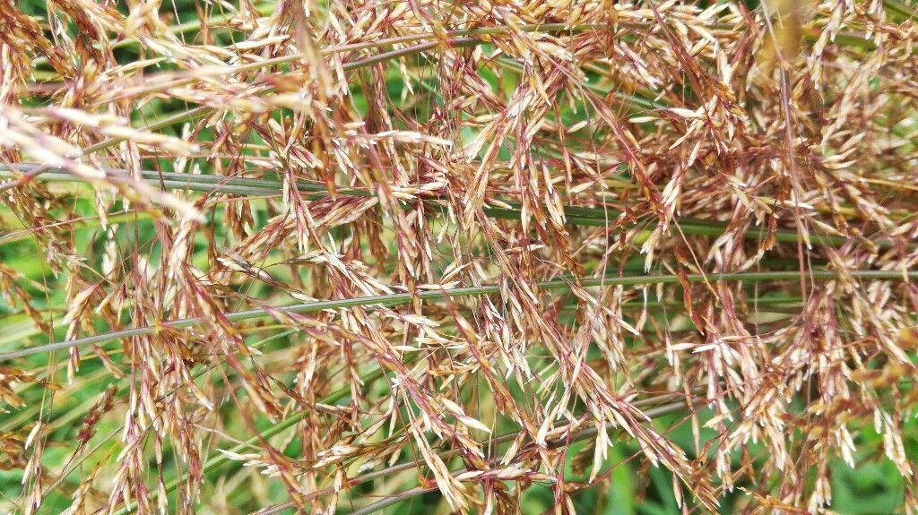 8-1024x575.jpg