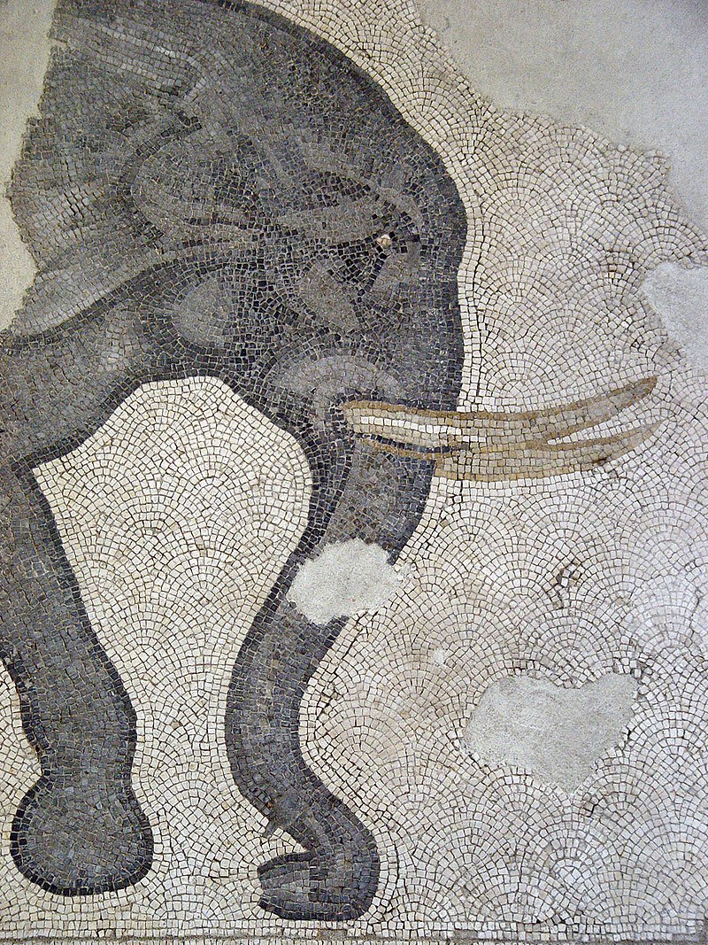 800px-1072-Istanbul_Roman_Mosaics-5238-20031220-1210.jpg