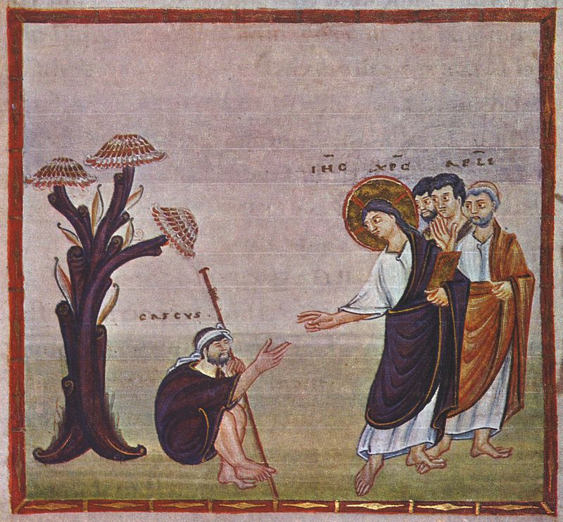 800px-CodexEgberti-Fol031-HealingOfTheBlindManOfJericho.jpg