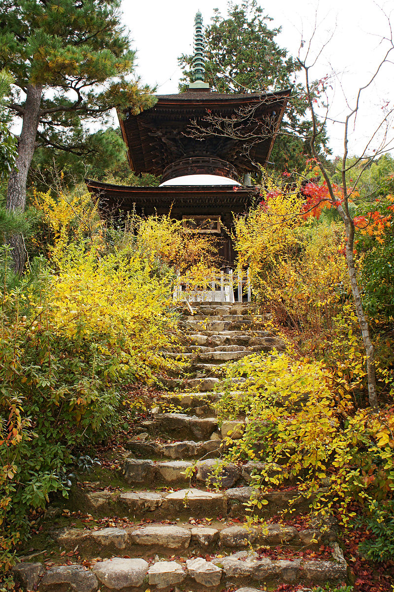 800px-Jojakkoji_Kyoto05s3s4005.jpg