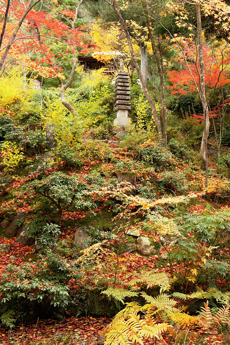 800px-Jojakkoji_Kyoto07s3s4592.jpg