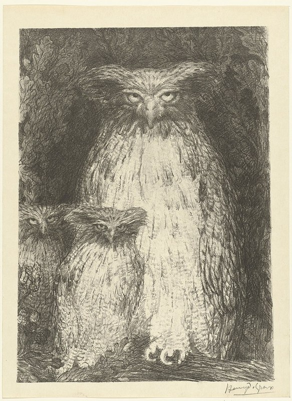 800px-Uil_met_twee_uilsku.jpg