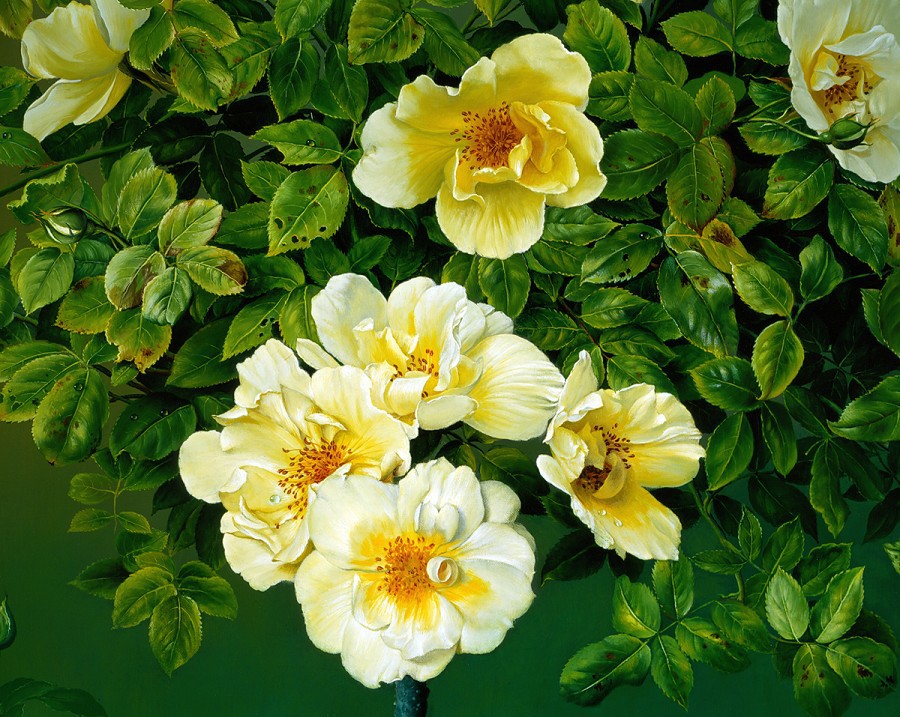 90110592_large_THE_OLD_ROSE_GARDEN_Detail_copy.jpg