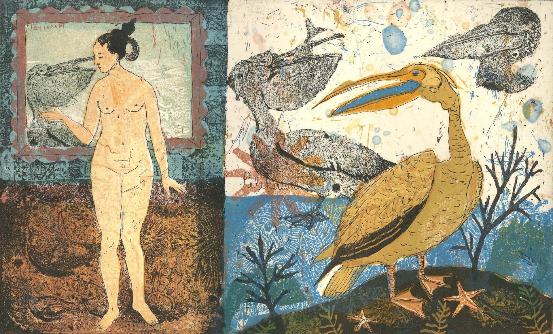 95_muotokuvapelikaani_2048x.jpg