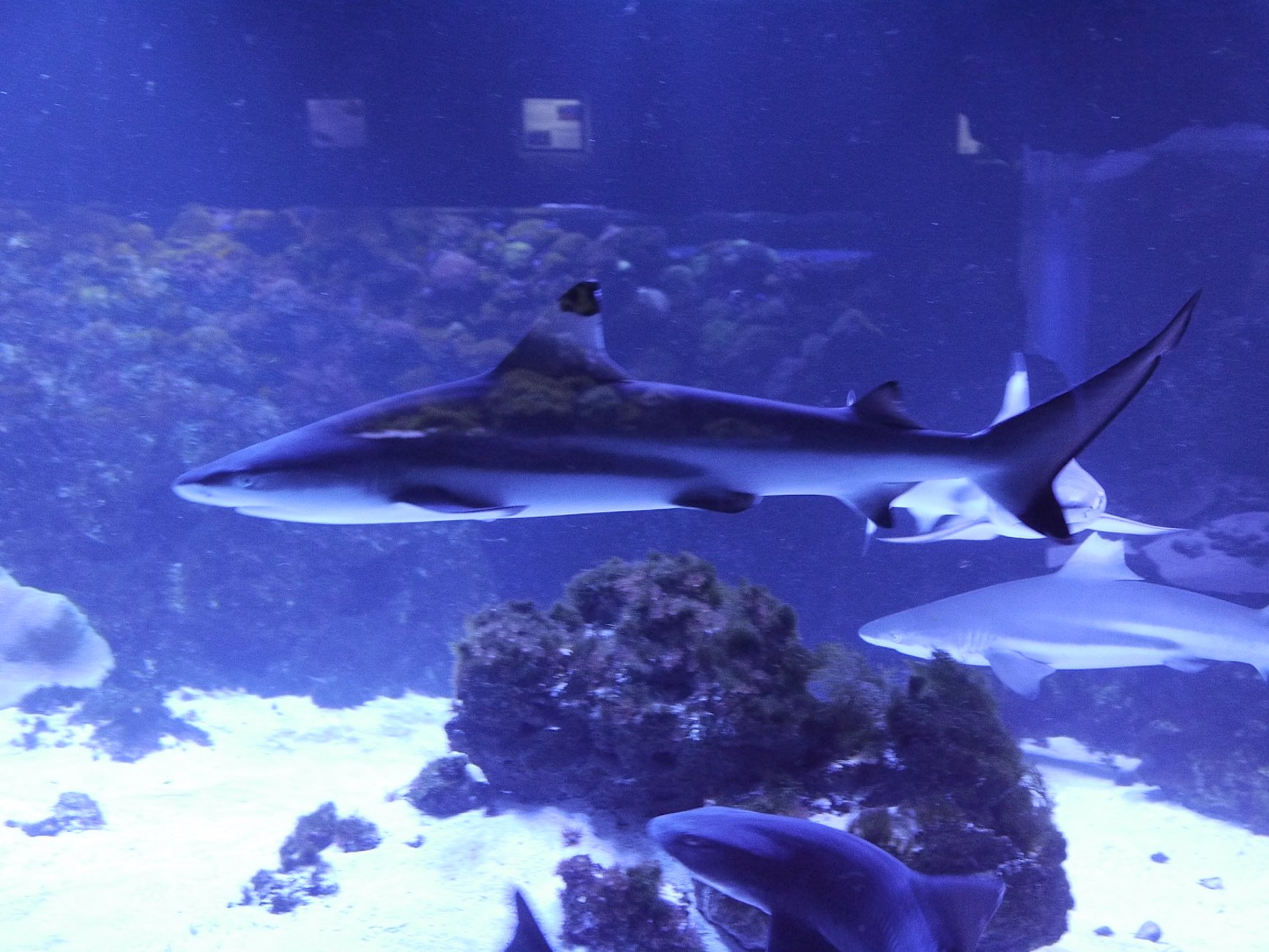 _1030763.JPG
