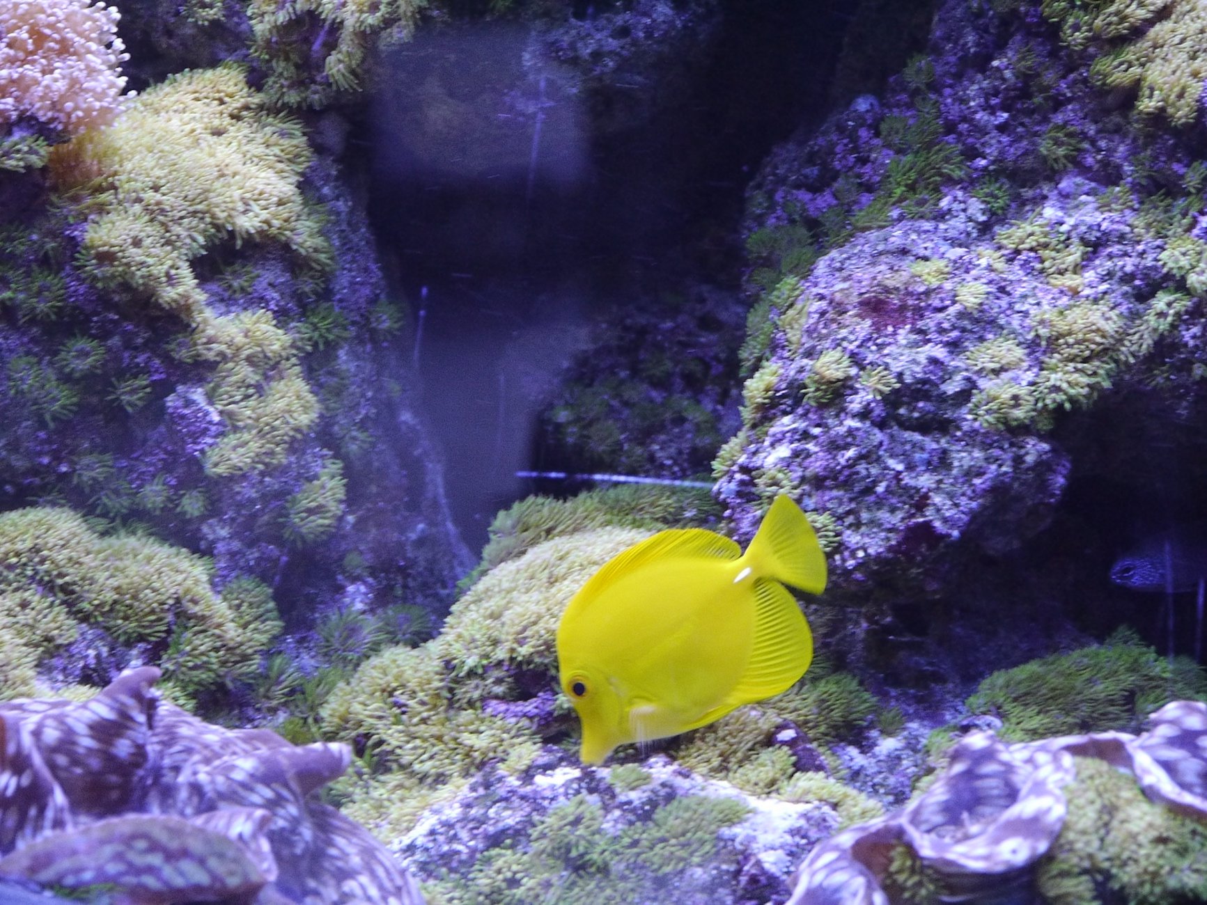 _1030769.JPG