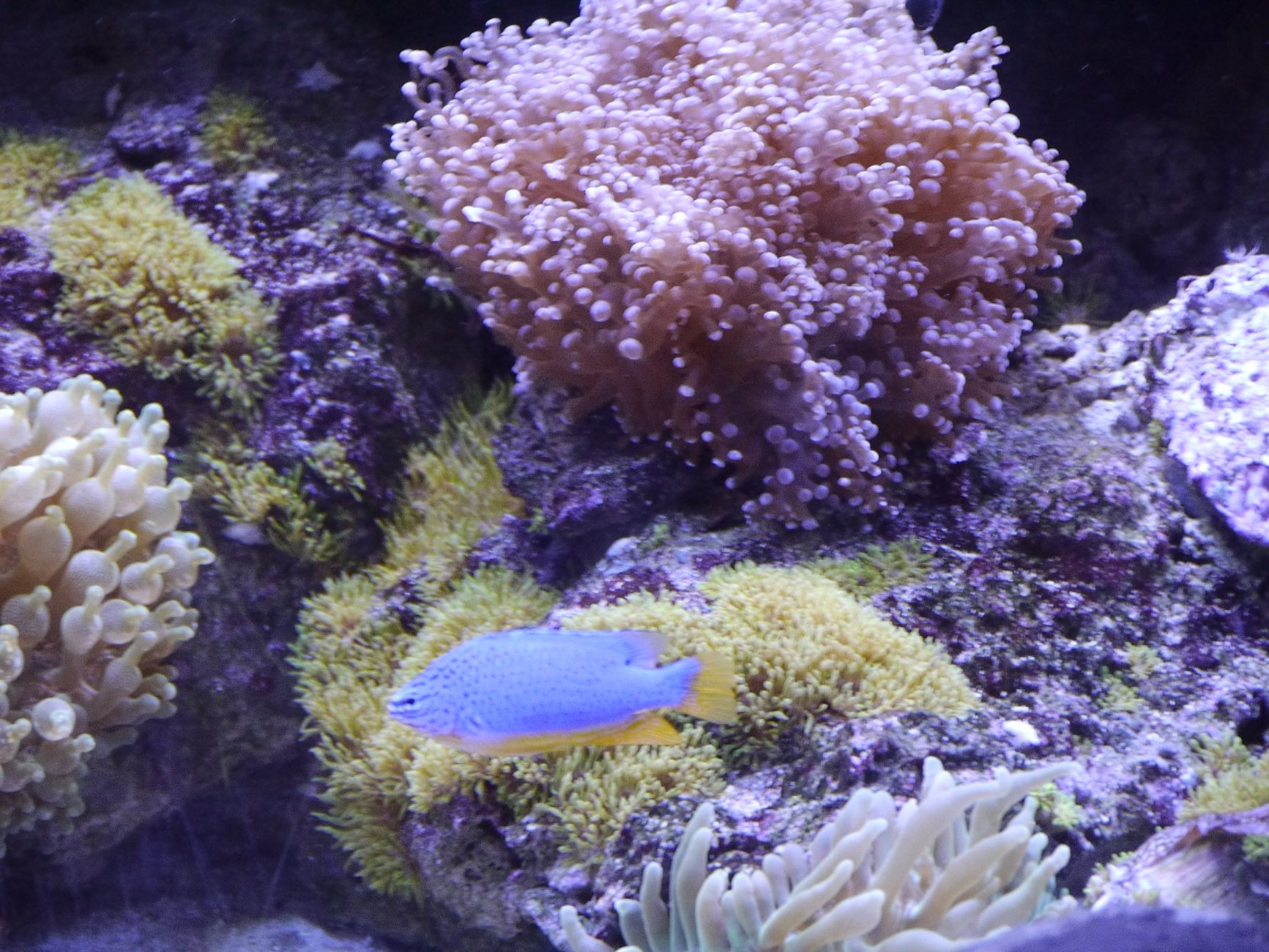 _1030770.JPG