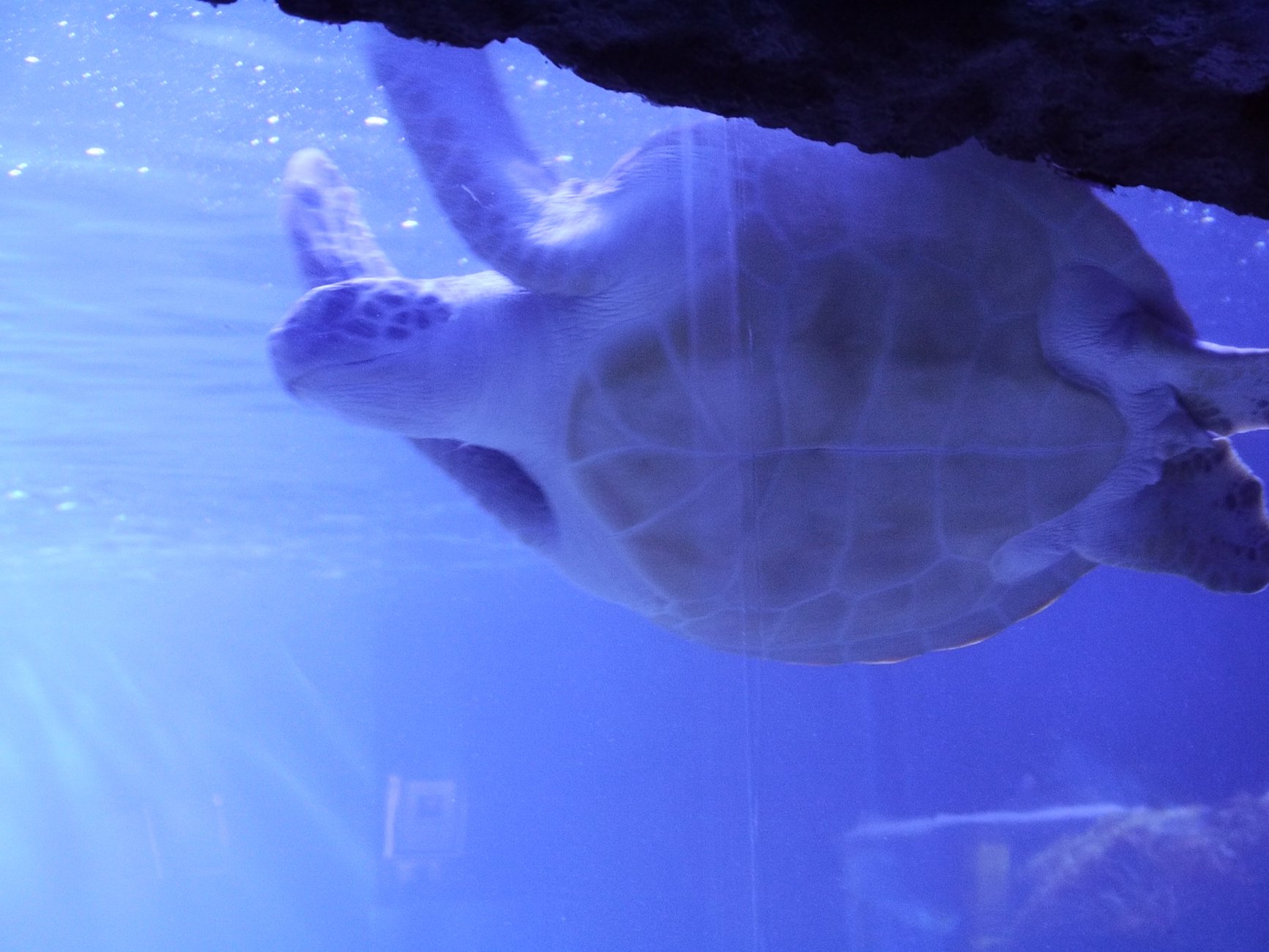 _1030780.JPG