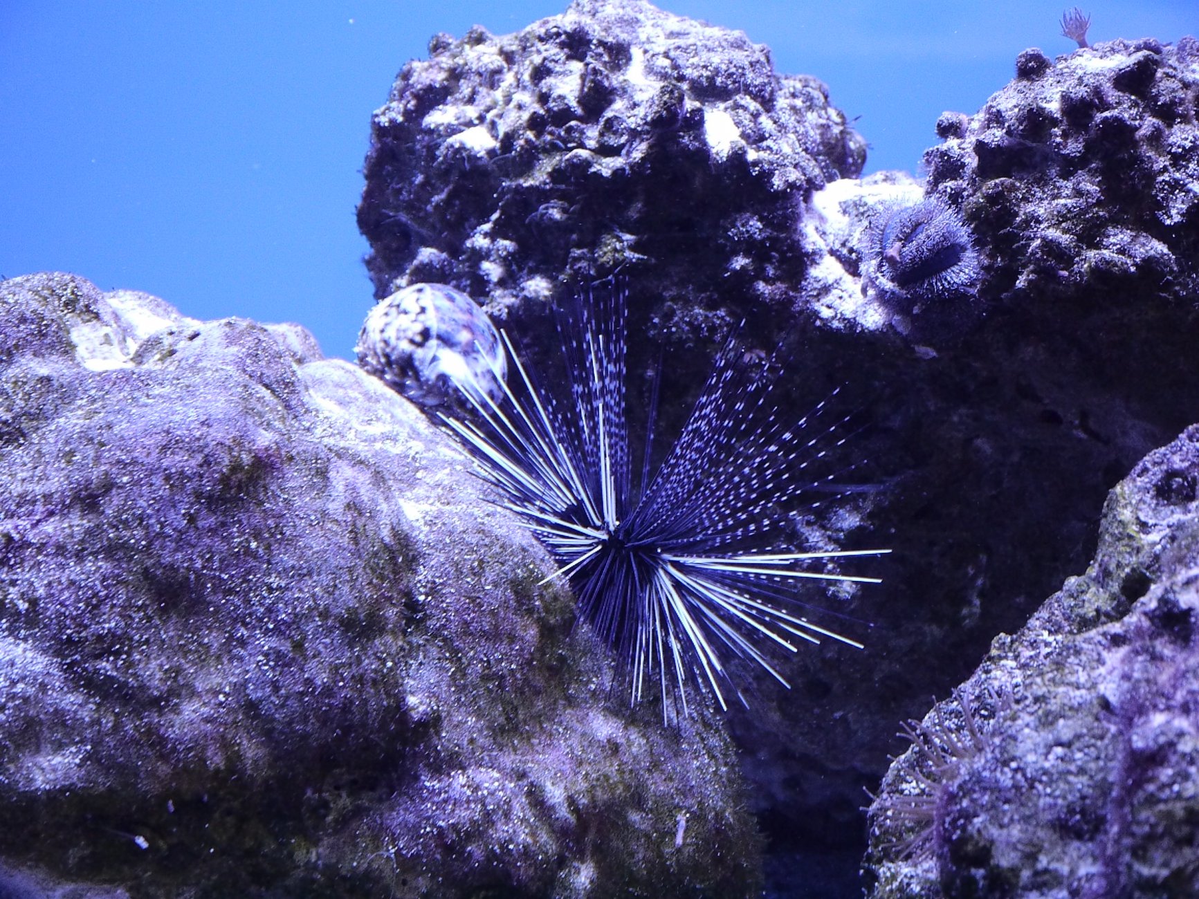 _1030784.JPG