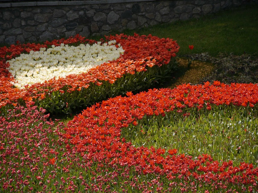 _1040927.jpg