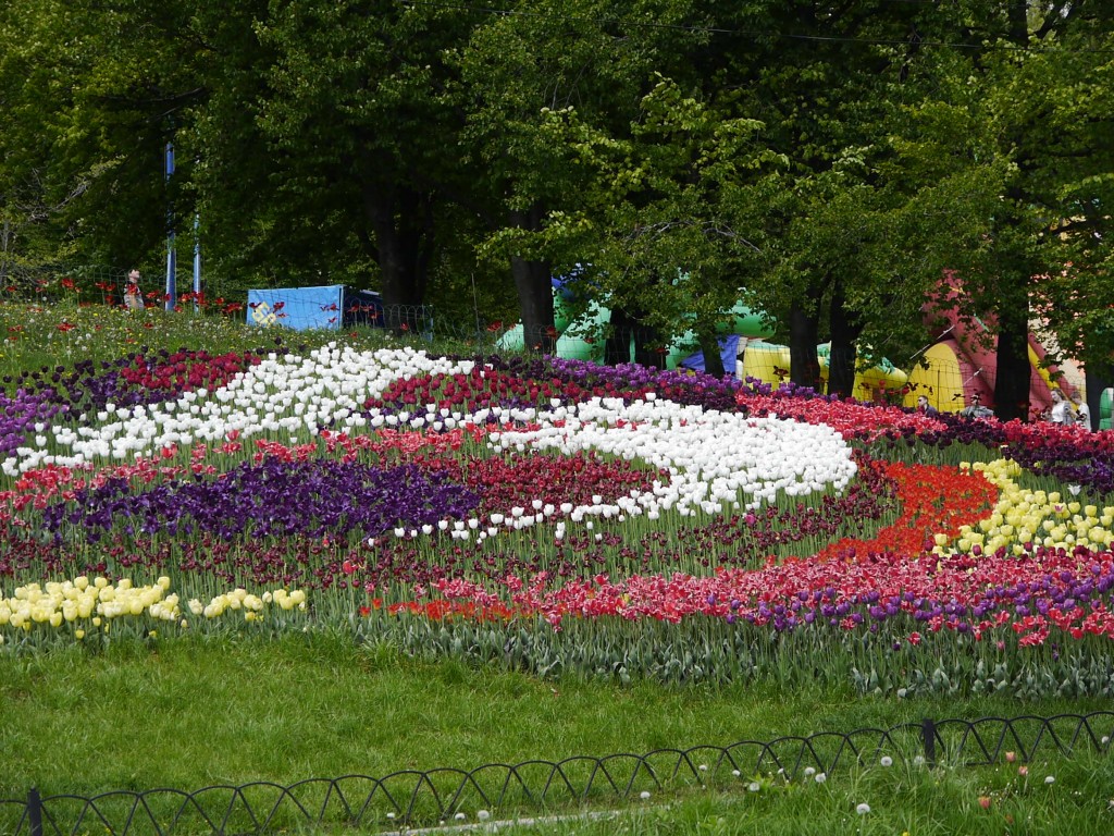 _1040984.jpg