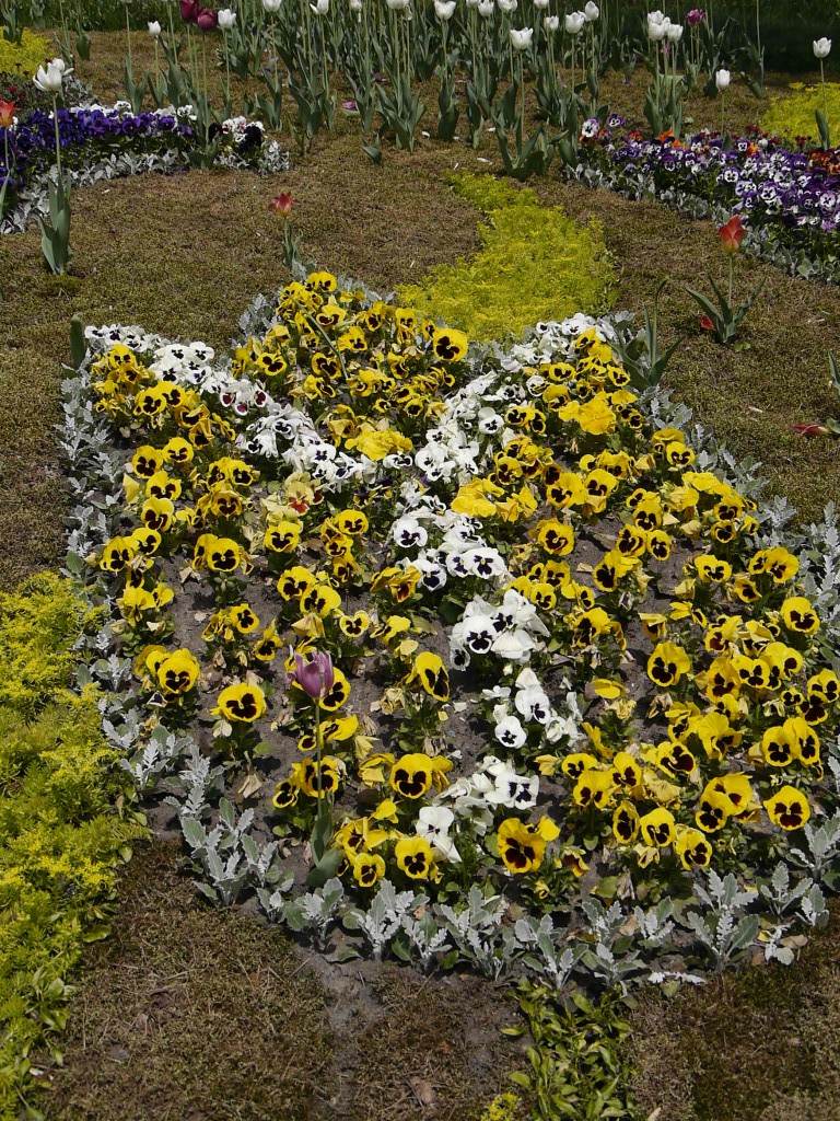 _1040991.jpg
