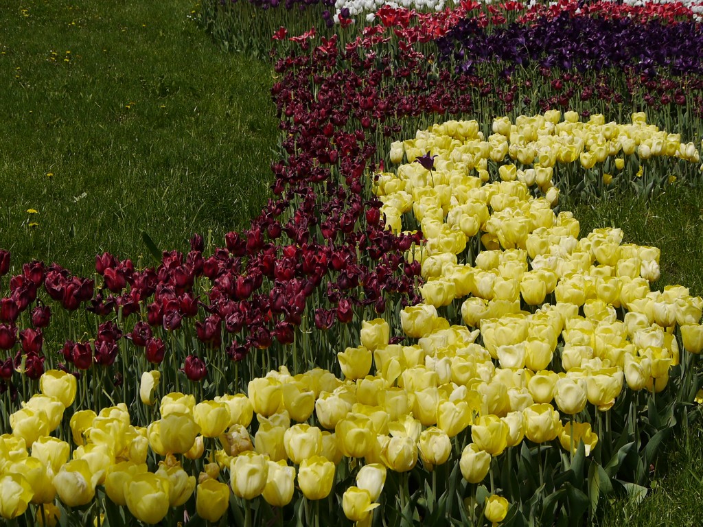 _1050013.jpg