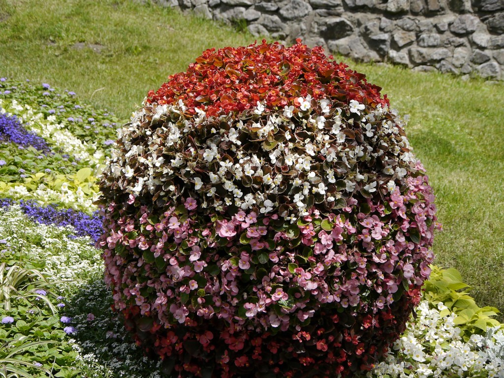 _1050262.jpg